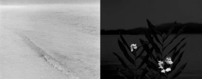 The White Sand of Jibeiyu (Jibeiyu Island) 1987-2010 /100cm x 100 cm , Butterfly Ginger 1987-2010 /80cm x 100 cm The White Sand of Jibeiyu (Jibeiyu Island) 1987-2010 /100cm x 100 cm , Butterfly Ginger 1987-2010 /80cm x 100 cm