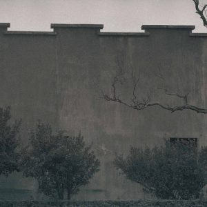 Fort San Domingo
