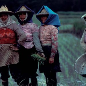 高雄縣 美濃