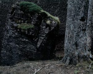 雲台