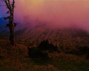 紅雲